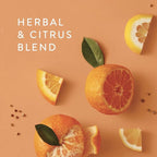 Thymes Fragrance Mist - 3 Oz - Mandarin Coriander - Image 5