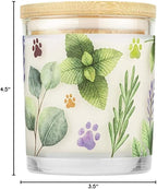 Pet House Candles, Plant-Based, Long Lasting, Pet Friendly Candles - Image 10