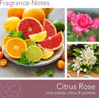 Carolina Citrus Rose Scented Candle, 16 oz Wellness Relaxing Aromatherapy Candle - Image 2