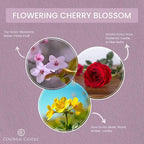 Colonial Candle Flowering Cherry Blossom Scented Wax Melts, Wax Melt Warmer - Image 2
