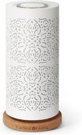 Earnest Living Waterless Diffuser 100ml Nebulizing Diffusion System by EarnestLiving