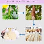 Natural Loofah Exfoliating Body Scrubber, Bath Shower Loofah Sponge - Image 4