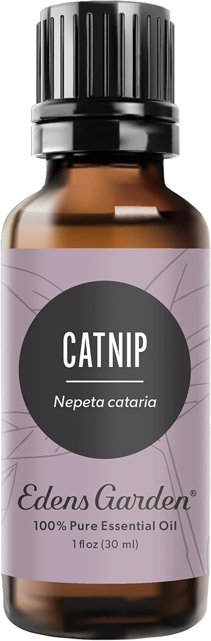Edens Garden Catnip Essential Oil- 100% Pure Premium Grade, Therapeutic by EdensGarden