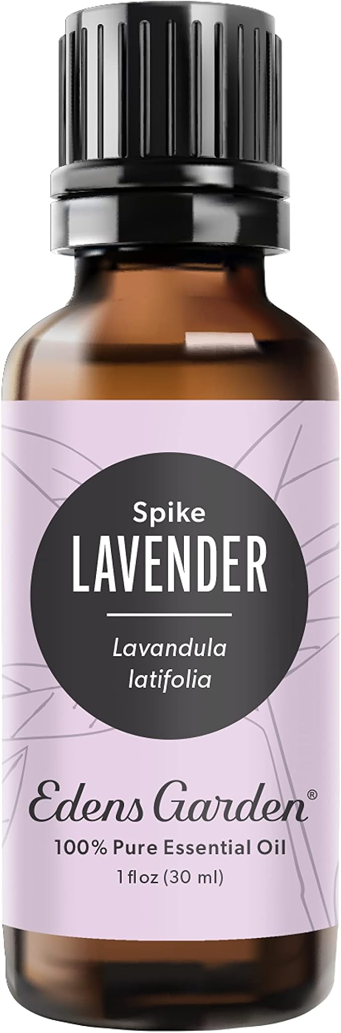 Edens Garden Lavender- Spike Essential Oil- 100% Pure Premium Grade, Therapeutic by EdensGarden