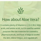 VENAMINE Korean Aloe Vera Soothing & Moisture 100% Gel Mist, 150 Gram - Image 6