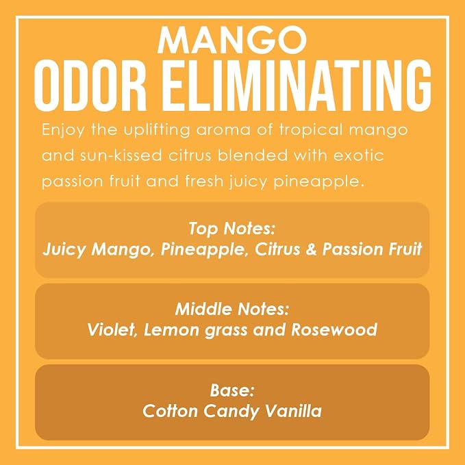 Mango Odor Eliminating Highly Fragranced Candle - Image 4