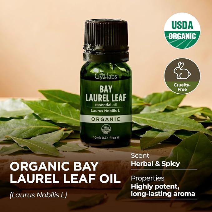 Gya Labs USDA Certified Organic Bay Leaf Essential Oil - Image 3