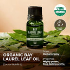 Gya Labs USDA Certified Organic Bay Leaf Essential Oil - Image 3