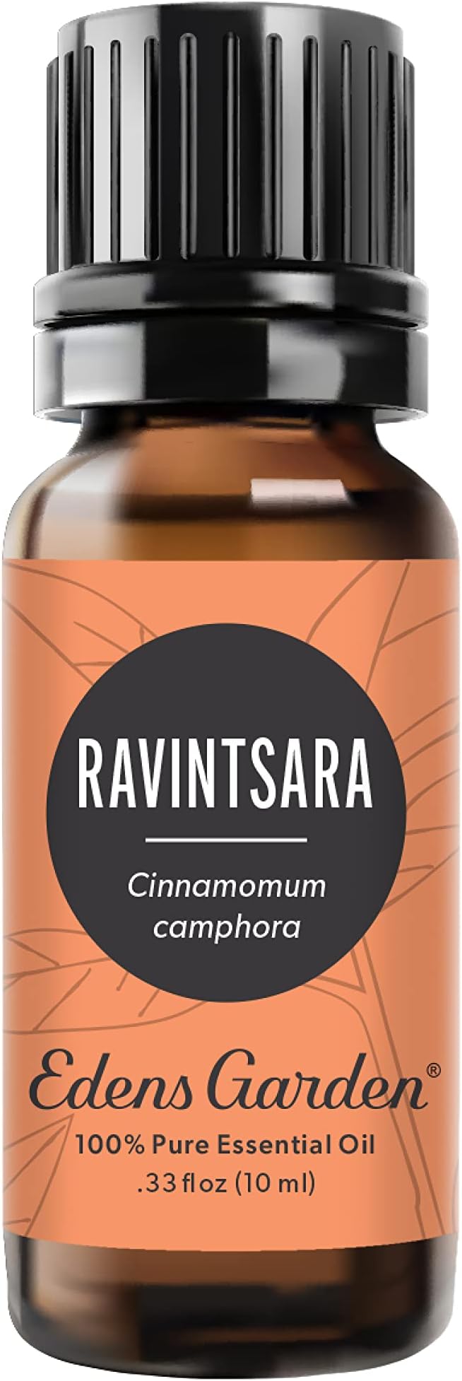 Edens Garden Ravintsara Essential Oil- 100% Pure Premium Grade, Therapeutic by EdensGarden
