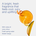 Bath & Body Works Midnight Blue Citrus 3-Wick Candle - Image 3