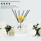 Reed Diffuser Set, 7 fl oz, Home Fragrance Reed Diffuser - Image 4
