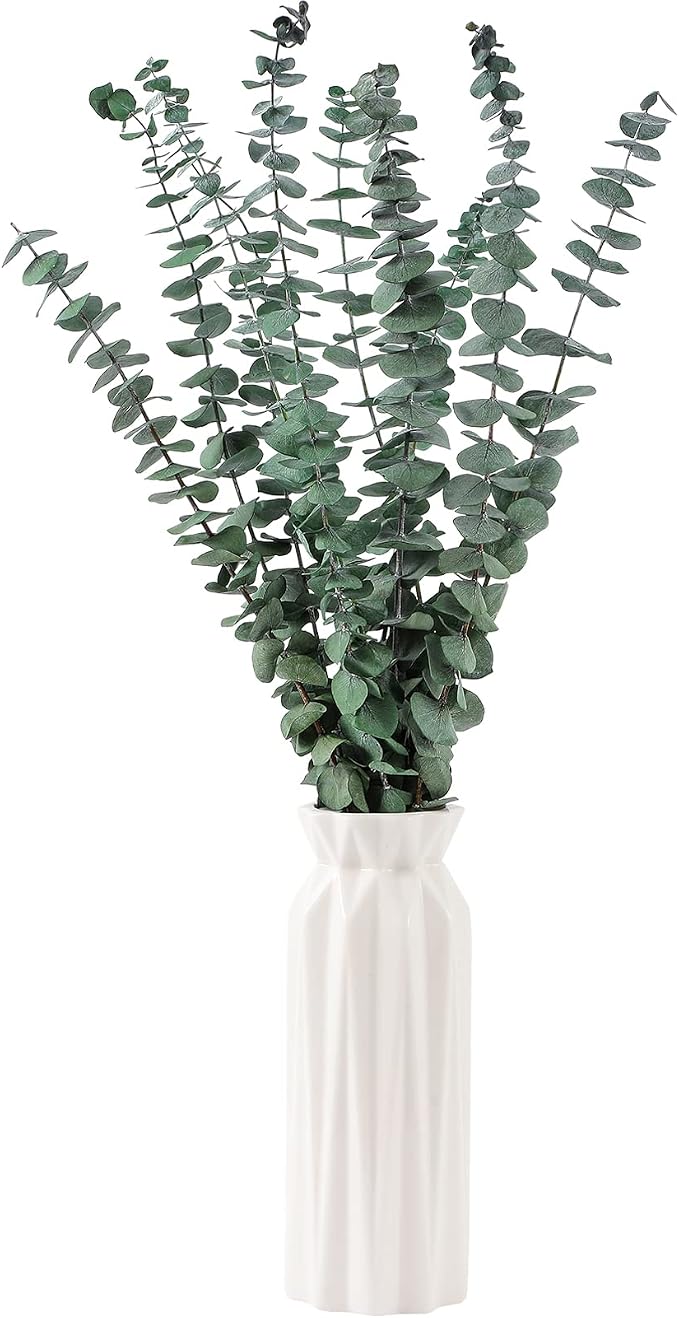 10 Pcs Dried Eucalyptus Stems 17" Real Eucalyptus - Image 2