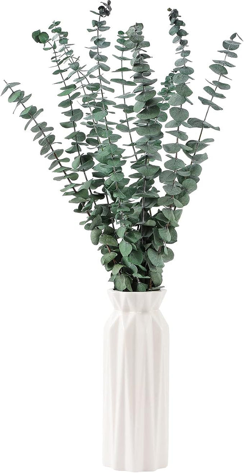 10 Pcs Dried Eucalyptus Stems 17" Real Eucalyptus - Image 2