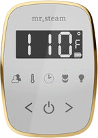 Mr Steam ButlerFlex Max Steam Shower w/TempoFlex Control and Linear Steamhead - Image 8