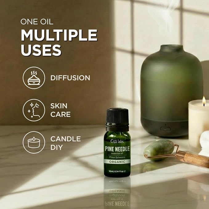 Gya Labs Organic Pine Needle Essential Oil - Image 6