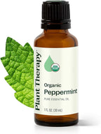 Plant Therapy Organic Peppermint Essential Oil 30 mL 100% Pure, USDA Certified by PlantTherapy