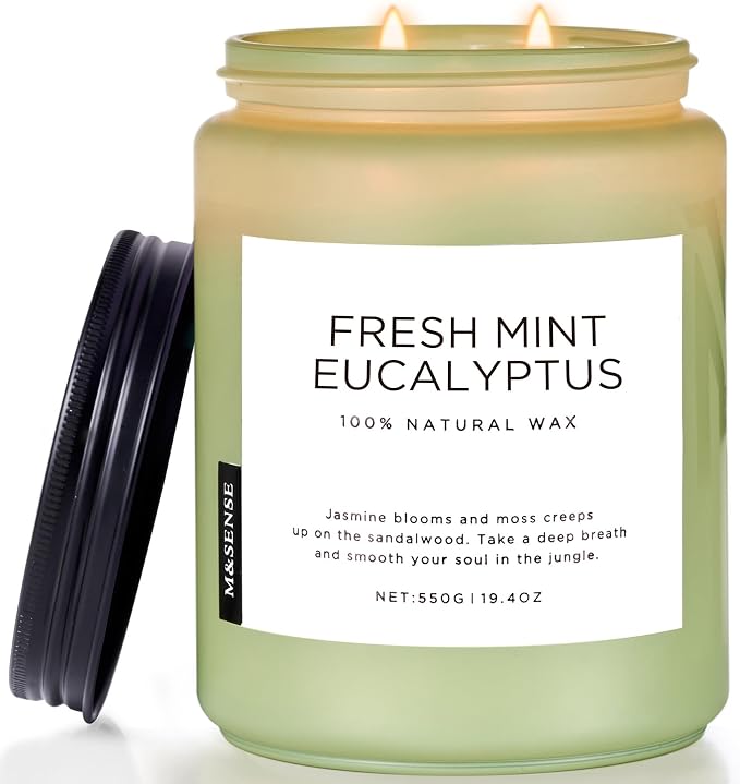 M&SENSE Eucalyptus & Mint Scented Jar Candle, Large 19.4oz Natural Soy Wax by MSENSE
