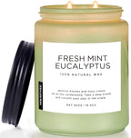 M&SENSE Eucalyptus & Mint Scented Jar Candle, Large 19.4oz Natural Soy Wax by MSENSE