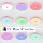 Pink Waterproof LED Ceiling Light Fixture, Music Ceiling Lamp, - Image 4