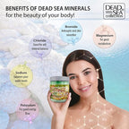 Dead Sea Collection Eucalyptus Salt Scrub – Exfoliating Body Scrub - Image 4
