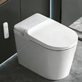 TDH Smart Toilet, Heated Toilet Seat by TDH