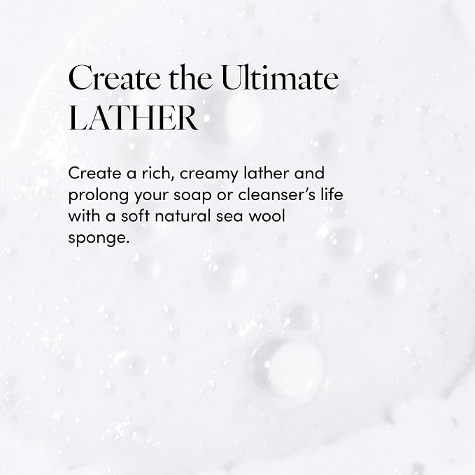 LATHER - Natural Sea Wool Sponge, 5-6" - Organic Exfoliating Body Scrubber - - Image 4