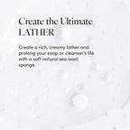 LATHER - Natural Sea Wool Sponge, 5-6" - Organic Exfoliating Body Scrubber - - Image 4