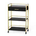 Salon Trolley Cart with Wheels, Esthetician Cart with 1 Drawer & 2 Trays by OmySalon