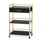 Salon Trolley Cart with Wheels, Esthetician Cart with 1 Drawer & 2 Trays by OmySalon