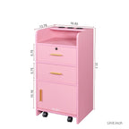 SSLine Modern Salon Station Pink Floor Stand Styling Sation Wood Salon Cabinet - Image 2