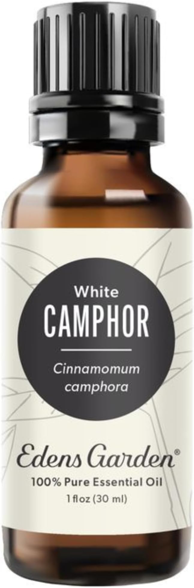 Edens Garden Camphor- White Essential Oil- 100% Pure Premium Grade, Therapeutic by EdensGarden