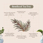 2 Bottles - 16 fl oz Tea Tree Essential Oil, Aluminum Bottle - GreenHealth - Image 4