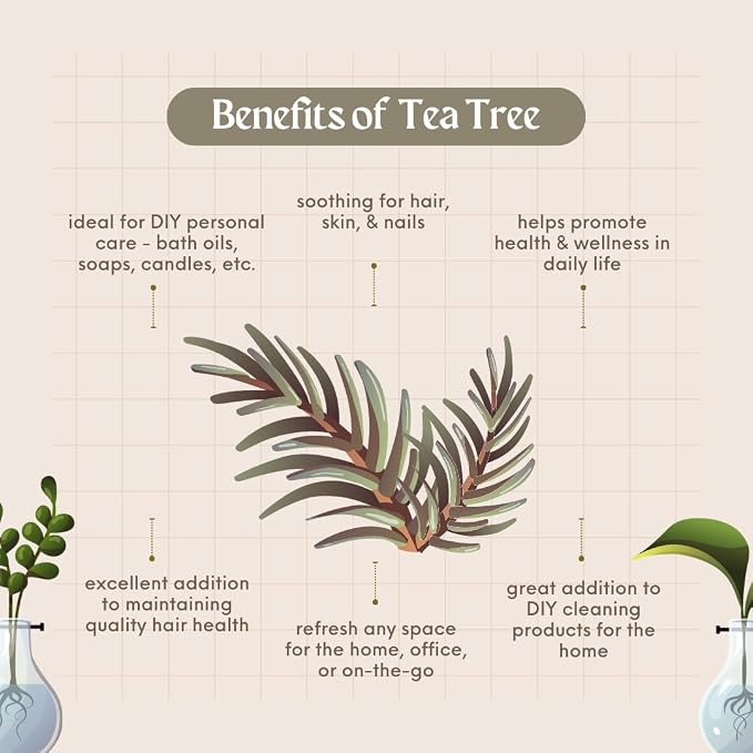 2 Bottles - 16 fl oz Tea Tree Essential Oil, Aluminum Bottle - GreenHealth - Image 4
