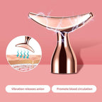 SSGP 2-in-1 Electric Face Massager - Image 2