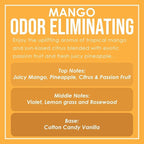Mango Two Pack Odor Eliminating Highly Fragranced Candle - Image 5