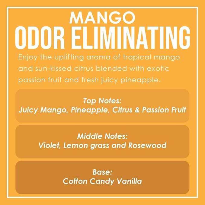 Mango Two Pack Odor Eliminating Highly Fragranced Candle - Image 5