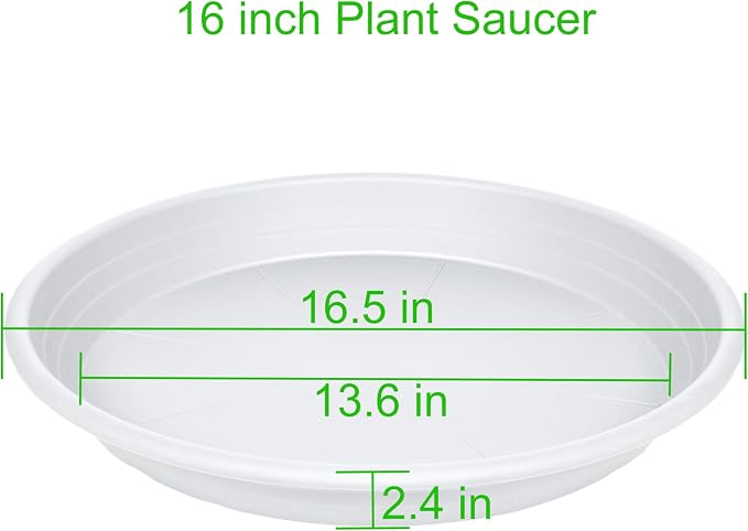 2 Pack of 16 inch Plant Saucer, Large Plant Tray, Heavy Sturdy Plant Drainage - Image 2
