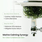BIODANCE Refreshing Sea kelp Real Deep Mask, Overnight Hydrogel Face Mask - Image 4