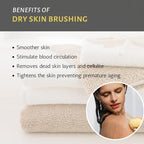 Touch Me All Natural Spa Sisal Dry Skin Brush – Premium Quality 9” Exfoliating - Image 6