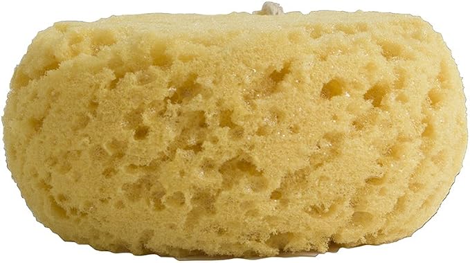 PARADISO Evriholder Sea Foam Body Sponge - Image 2