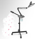 TASALON Professional 2-in-1 Facial Steamer, Ozone Face Steamer by TASALON