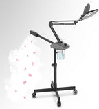 TASALON Professional 2-in-1 Facial Steamer, Ozone Face Steamer by TASALON