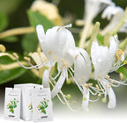 MYARO 12 Packs Honeysuckle Scented Sachets - Image 8