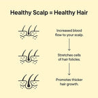 TOOLETRIES Scalp Scrubber - Image 5