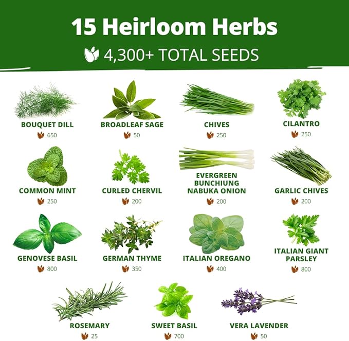 HOME GROWN Herb Seeds for Planting 15-Pack Massive Seed Count 4, 300+ Seeds - Image 3
