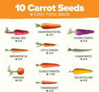 HOME GROWN Rainbow Carrot Seeds 10 Variety Mix 3350+ Heirloom Non-GMO Seeds - Image 3
