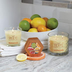 Root Candles Scented Candles Honeycomb Beeswax Blend Premium Handcrafted Candle - Image 7