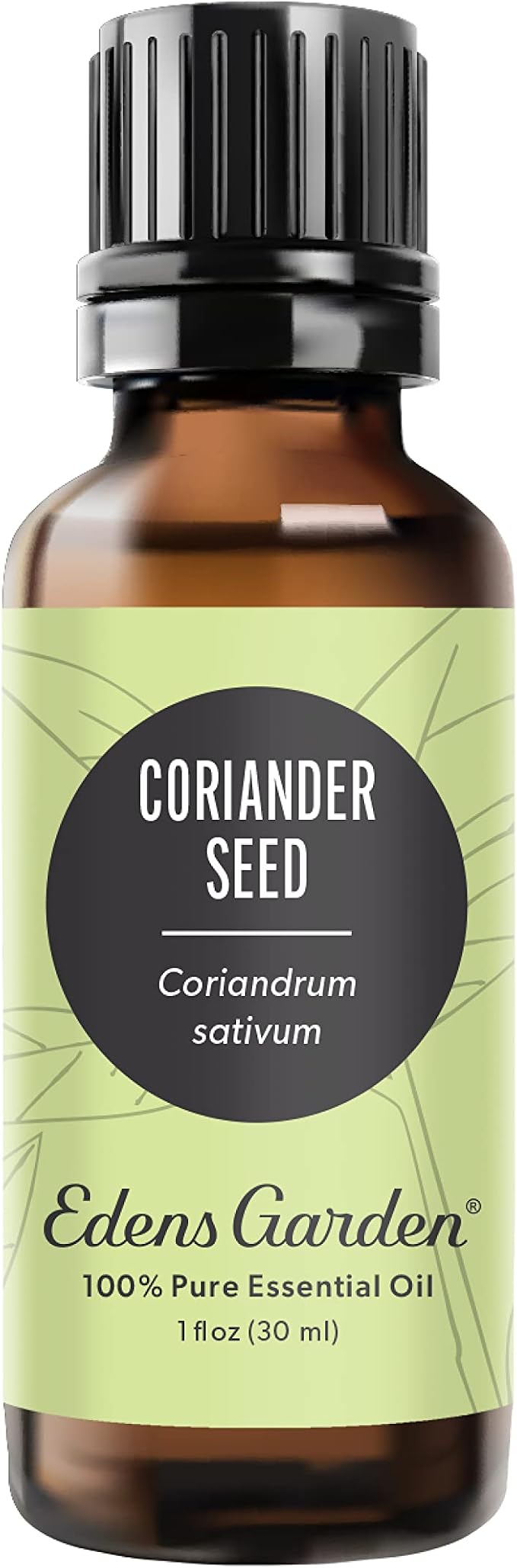 Edens Garden Coriander Seed Essential Oil- 100% Pure Premium Grade, Therapeutic by EdensGarden