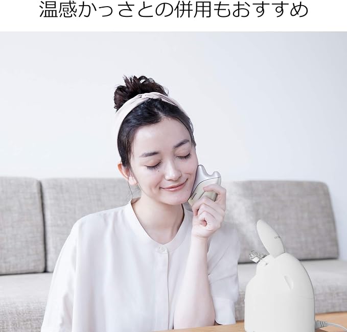 Panasonic Nanocare EH-SA3B-N Steamer Compact Gold - Image 7