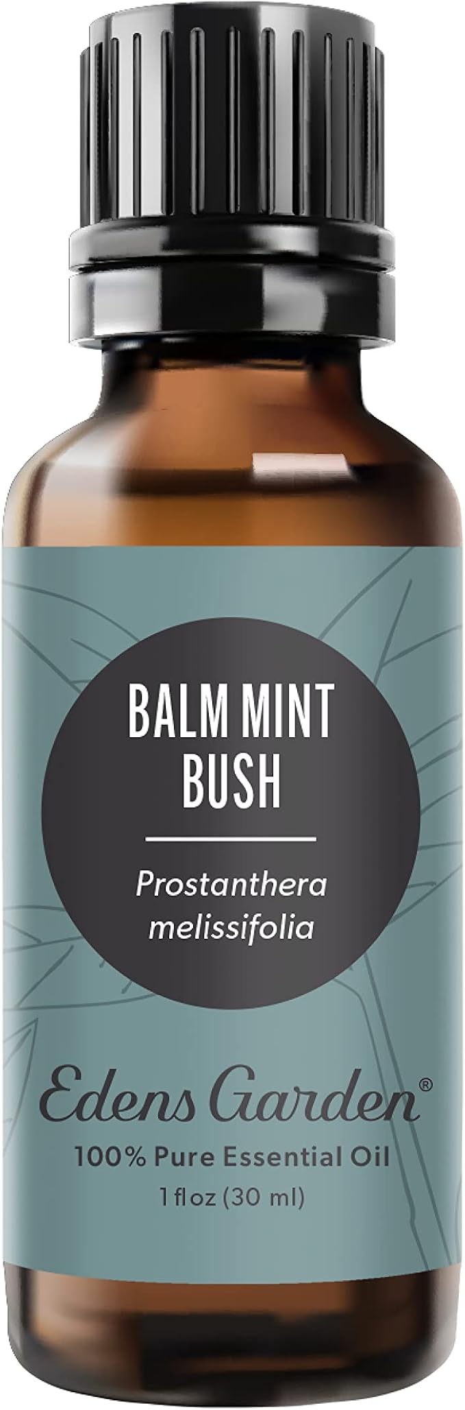 Edens Garden Balm Mint Bush Essential Oil- 100% Pure Premium Grade, Therapeutic by EdensGarden